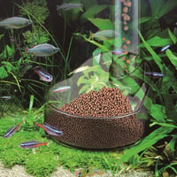 Futterring, Multifunktionaler Futterring Für Zierfische