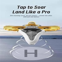 Flying Sword RC Glider