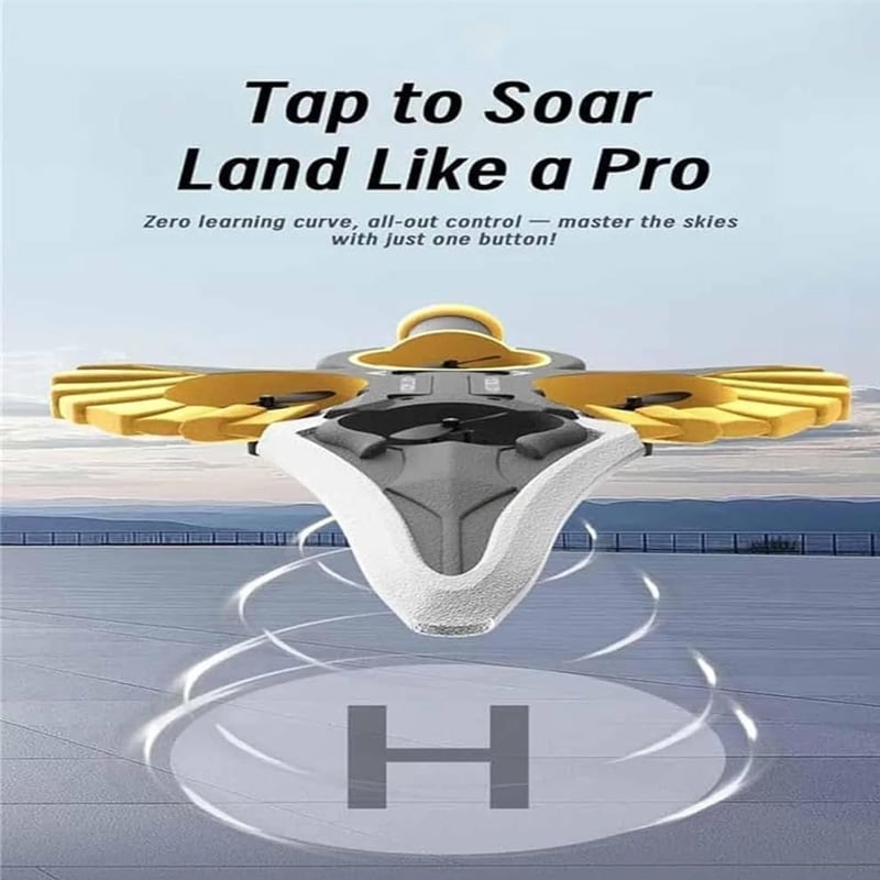 Flying Sword RC Glider