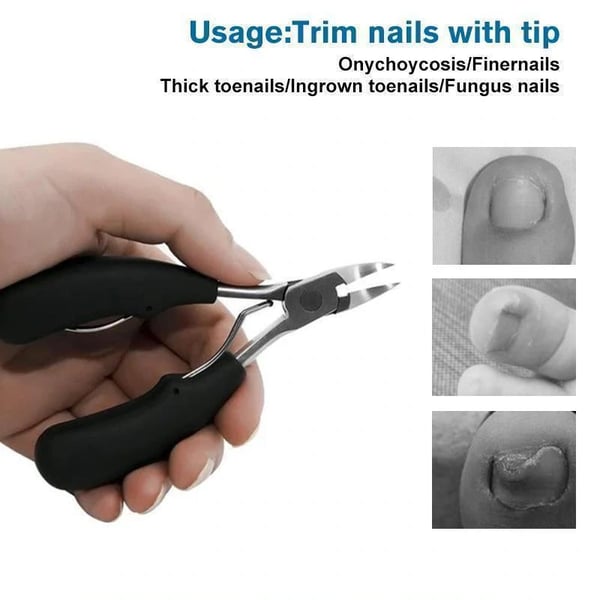 06_77f84b7e-f023-4ca9-9309-8dd6301c3452