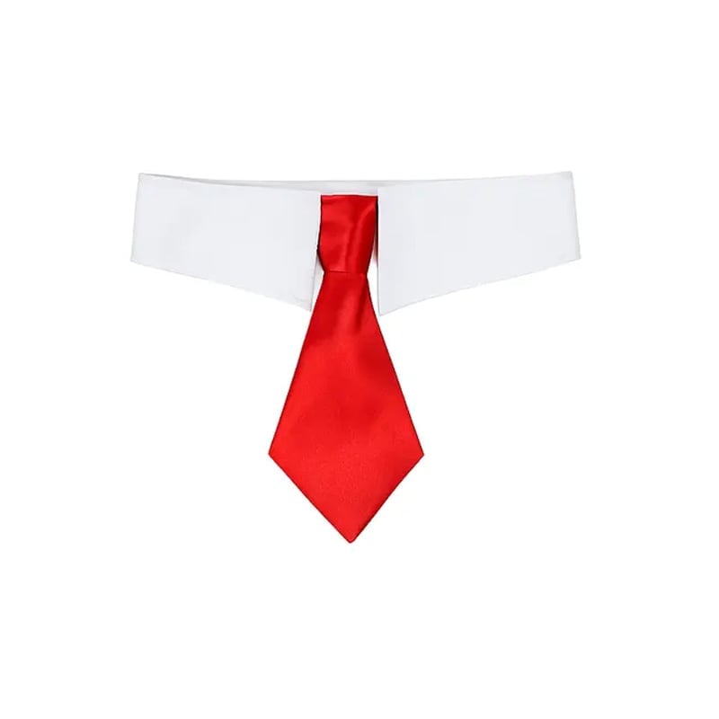 Doggy gentleman bow tie