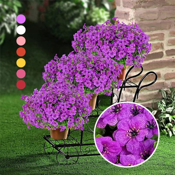 11572d0e-de4e-43e7-88cc-10943f688c00