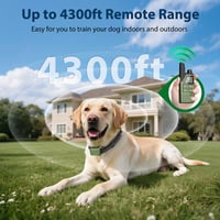 Kexon™ Waterproof Remote Dog Training Collar