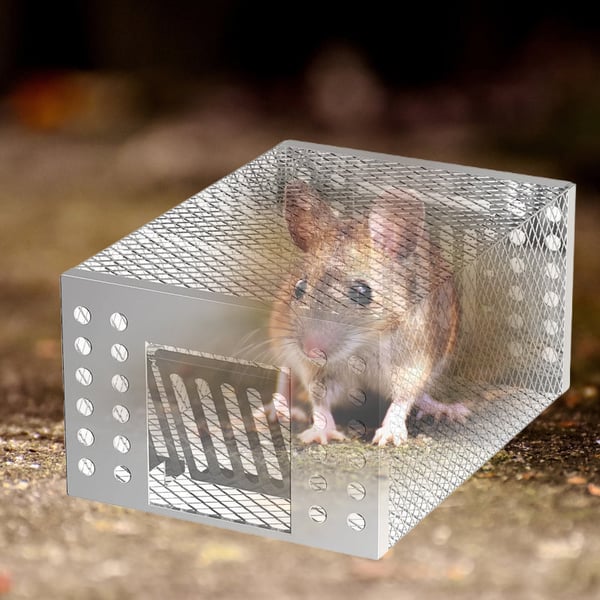 1_5_db1374c1-b752-4b07-875e-e9ec6e685ae2