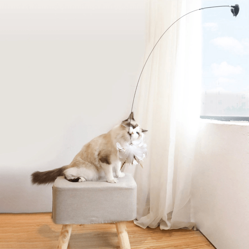 Ventouse Plume Magique - Ultra Stable