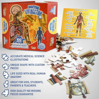 Anatomie-Puzzle für Kinder