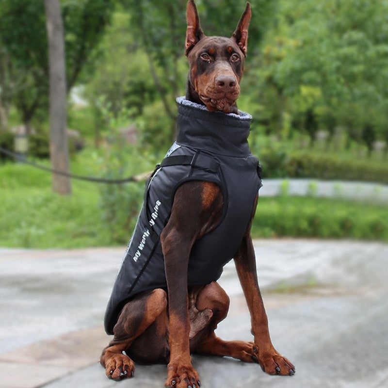 Pet Reflective Insulated Jacket