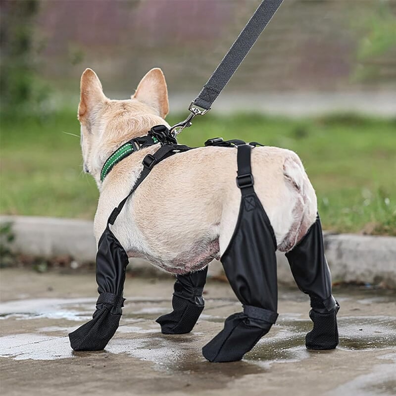 Pet Outdoor Waterproof Suspender Boots