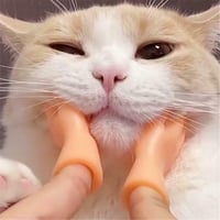 Lustige Katzen-Massagehandschuhe