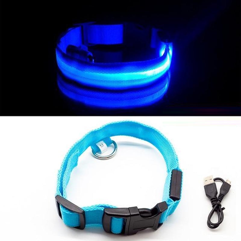 LED-Halsband