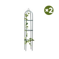 Garden Trellis for Climbing Plants