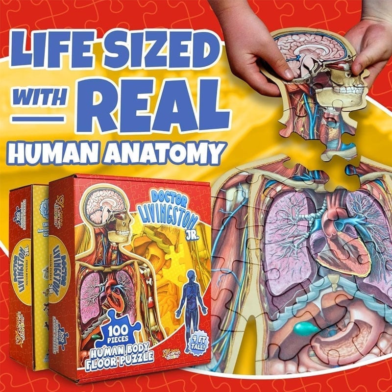 Anatomie-Puzzle für Kinder
