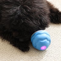 Interactive Smart Rolling Pet Ball