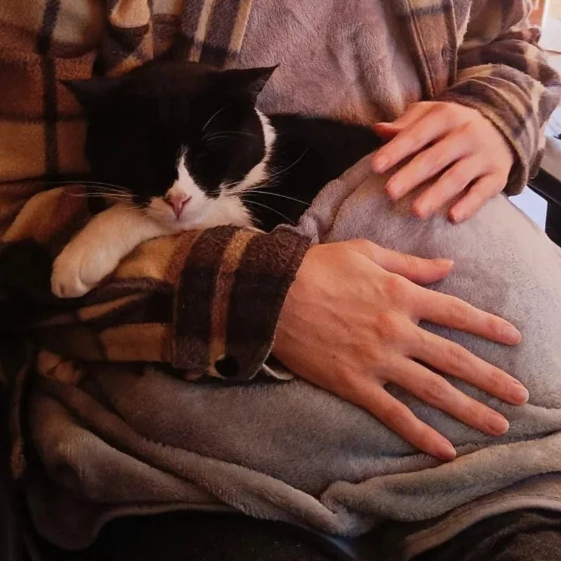 Hoppy Katze Schürze