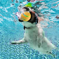 Pet Electric Smart Ball