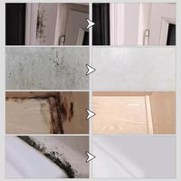 Fast Acting Anti-Mold Wall Cleaner Spray