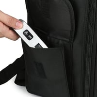 Handheld Electronic Scale