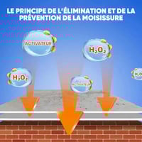 Spray Nettoyant Mural Anti-Moisissure à Action Rapide