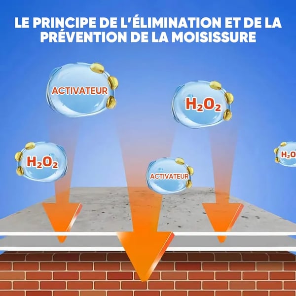 Spray Nettoyant Mural Anti-Moisissure à Action Rapide