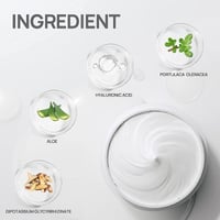 【Sale】Nose Plants Pore Strips