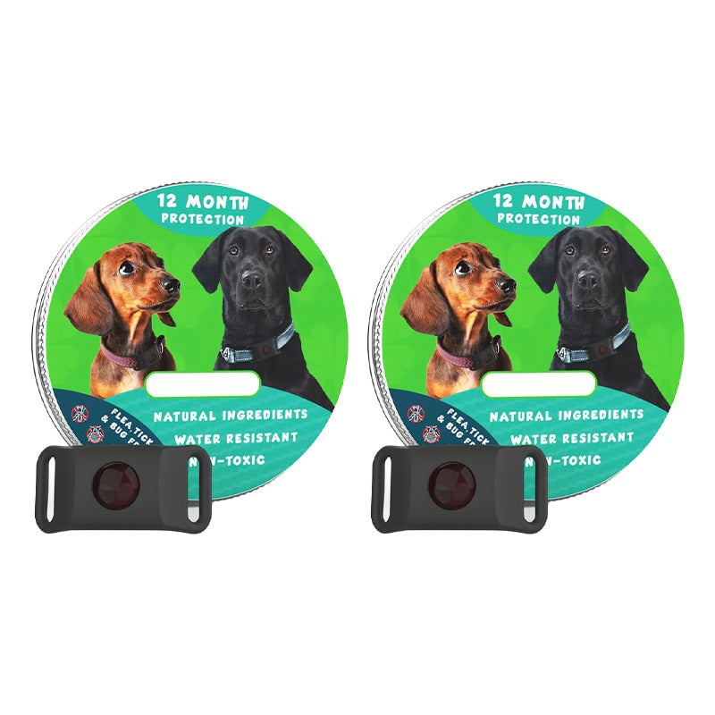 Loppe- og flåttbånd – Beskyttelse i 12 måneder