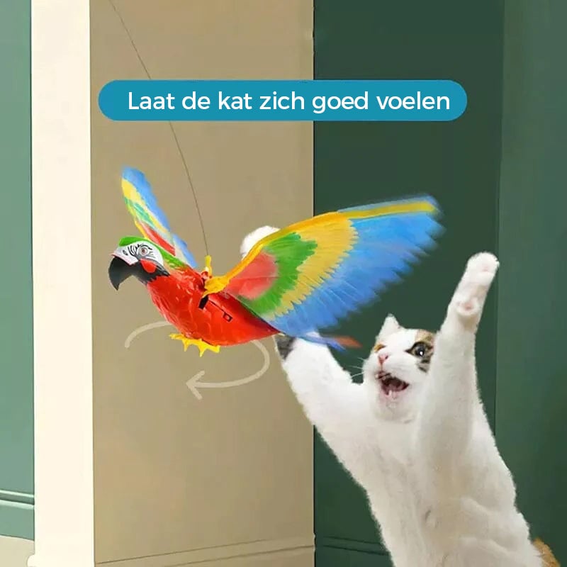 2_0e26aa00-d0ff-4912-9c74-1f6eb7954c44