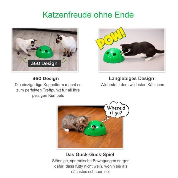 Das Guck-Guck-Spiel für die Katze
