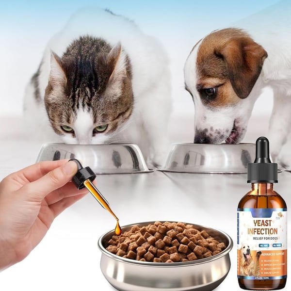 58025b1d-ee05-4b5f-40a3-fc4520ae0c00