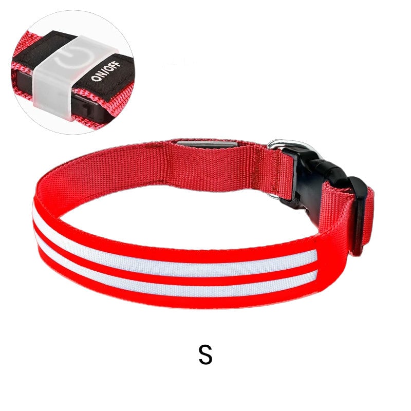 Dual Fiber Nighttime Luminous Dog Collar