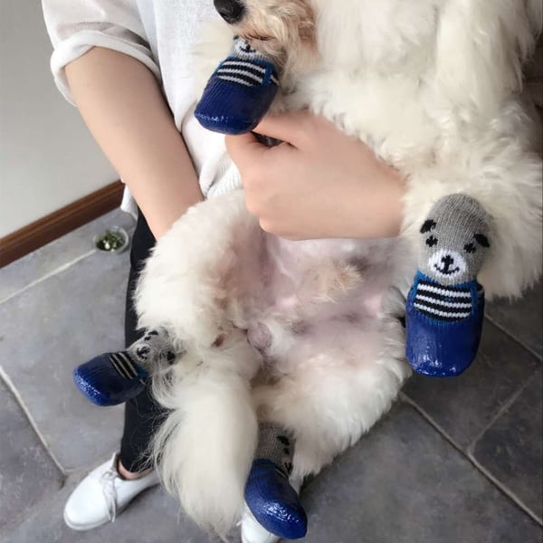 1_2a4d2326-764e-46ac-a703-932709c157fd