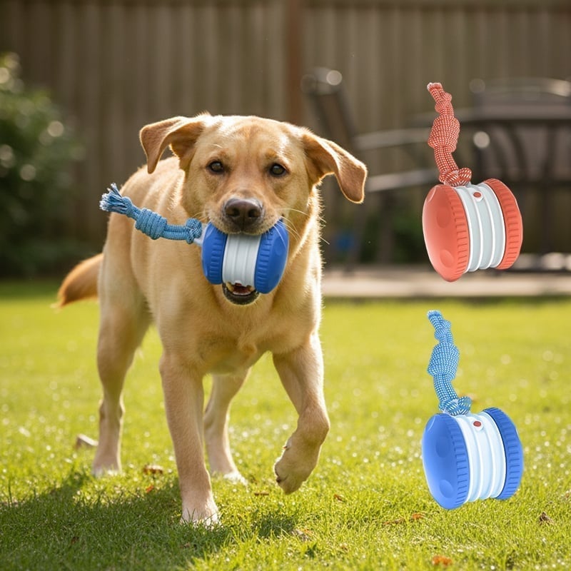 Interactive Dog Toys