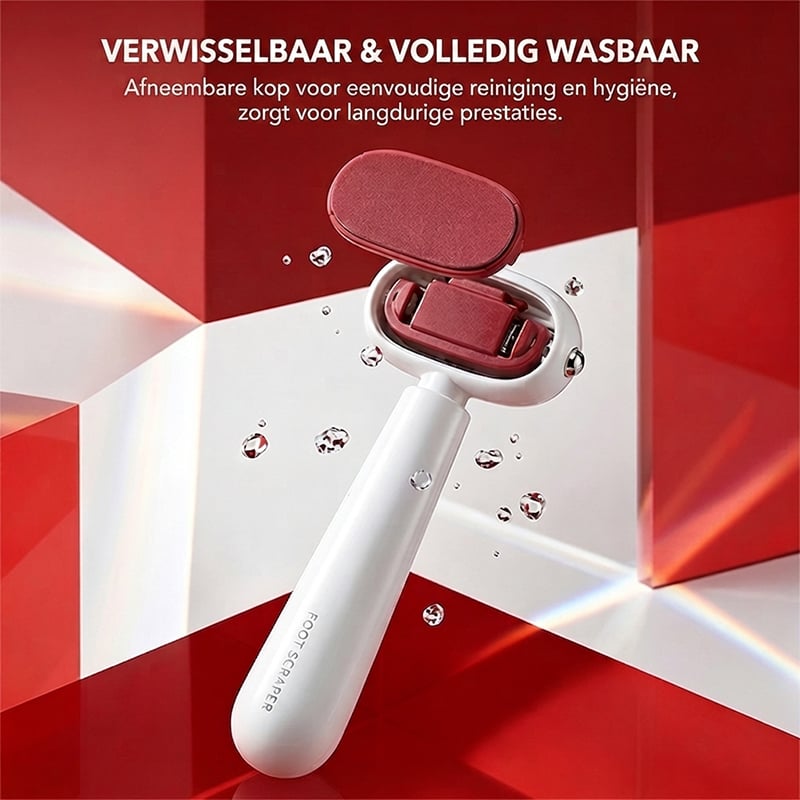 画板 8.jpg