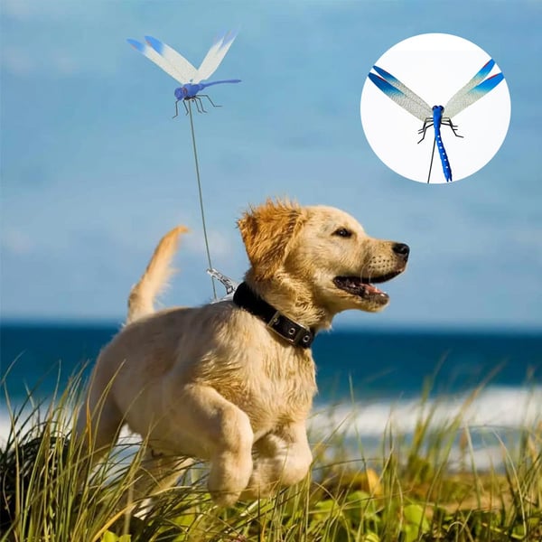 2_f6ef2fd7-0048-4a61-8c76-5198554f8151