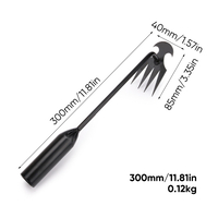 电泳30cm.jpg