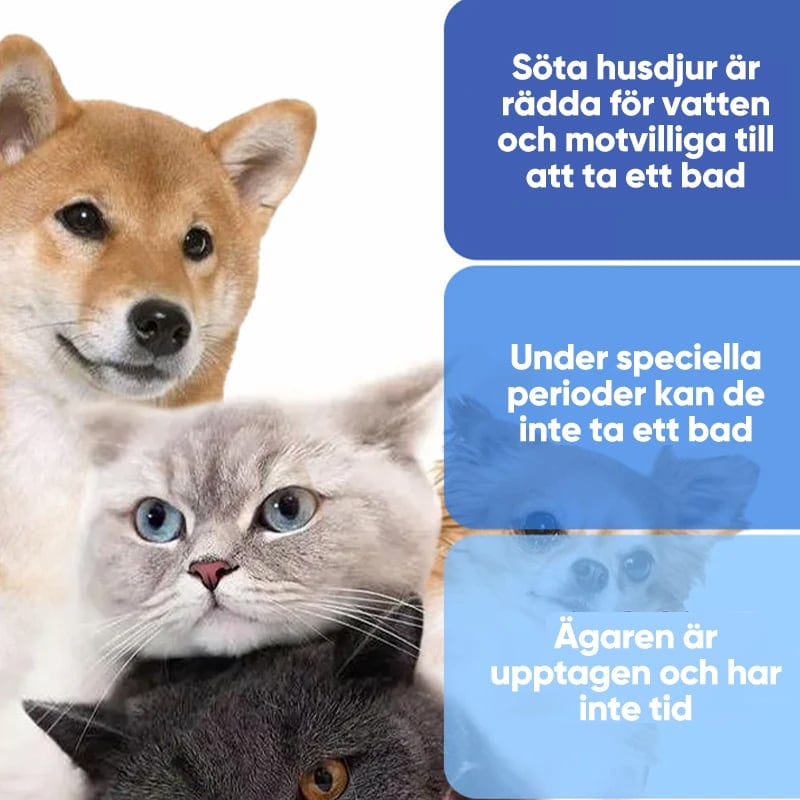 Pet Glove Wipes för Hundar & Katter