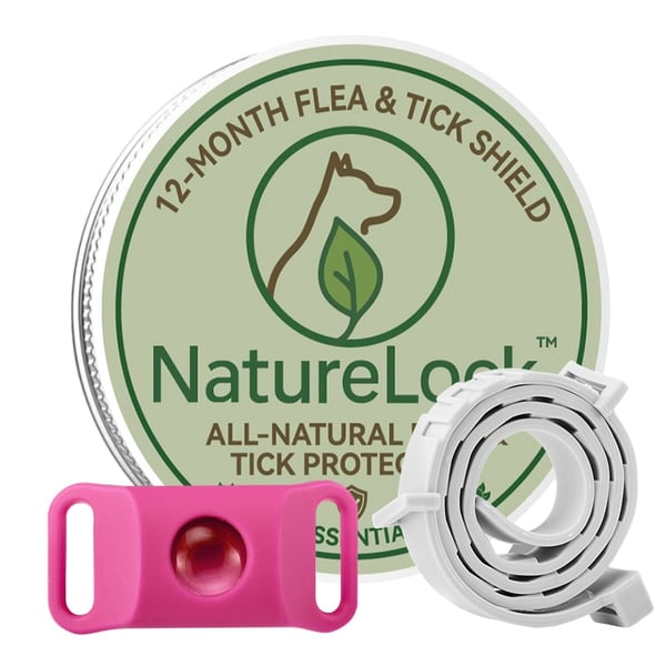 12 Months Flea and Tick Free