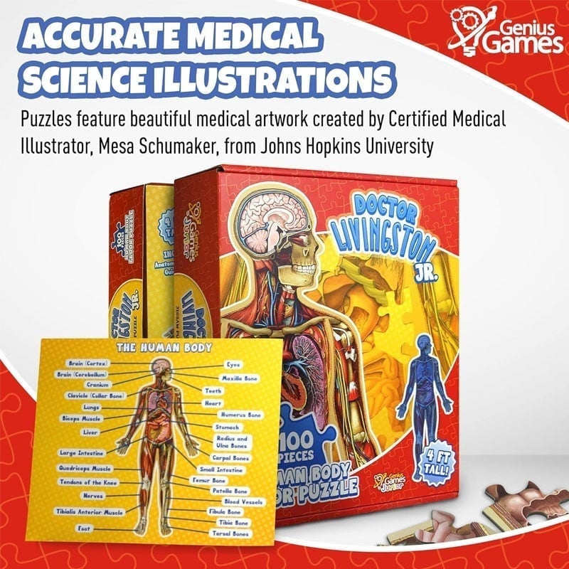 Human Anatomy Puzzle for Kids