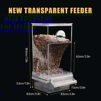 Automatic No-Spill Transparent Bird Feeder