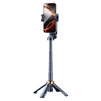 Multifunctional selfie stick
