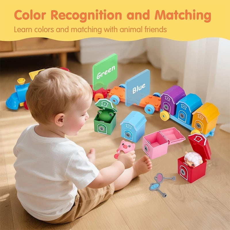 Matching & Sorting Activity Train Set