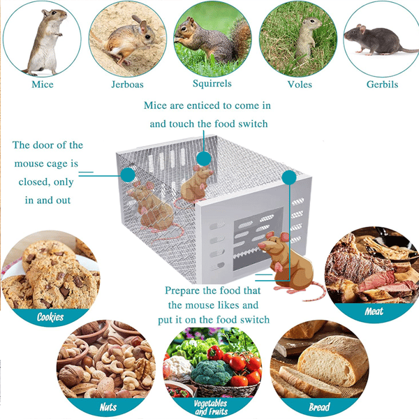 Stainless Steel Automatic Mousetrap