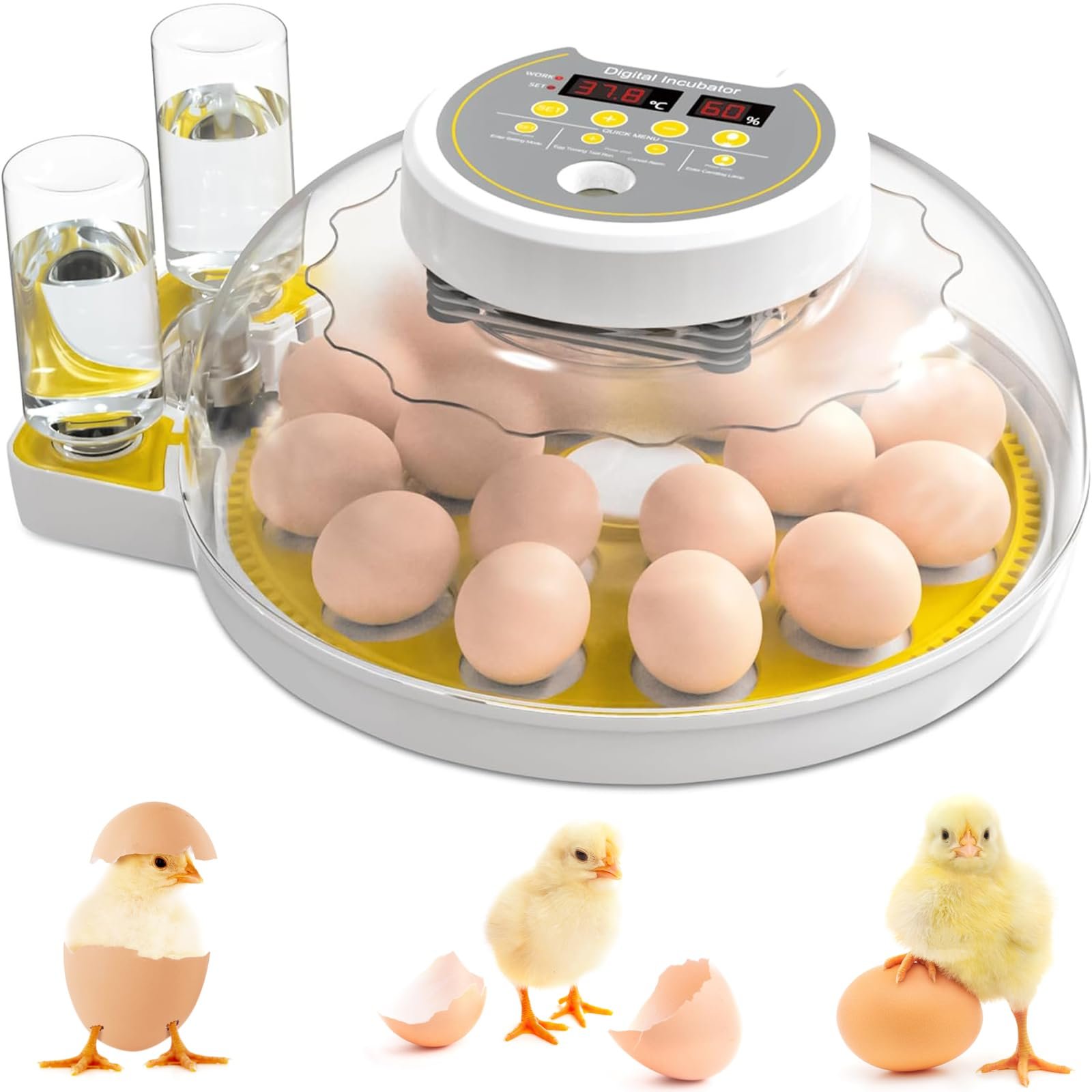 Egg Incubator