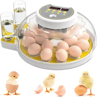 Egg Incubator