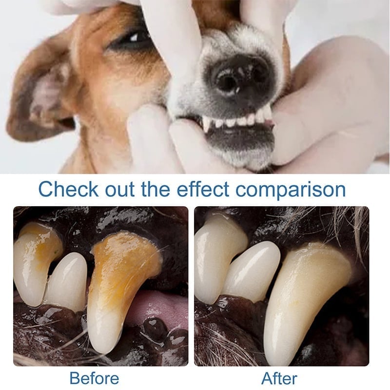 Pet Dental Tartar Care Spray