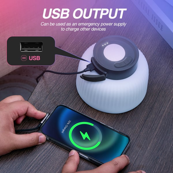 Multicolored Camping Light String