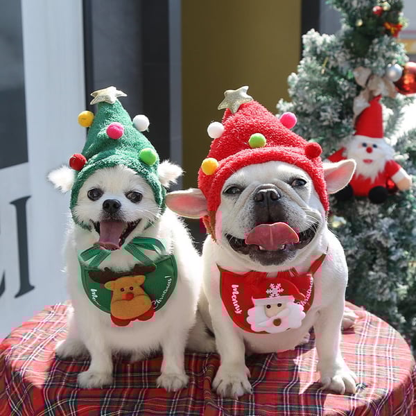 Christmas Dog Outfit Set