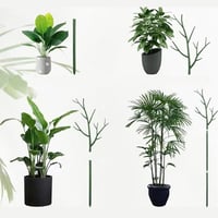 Plant climbing pole