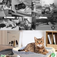 Ergonomic Desk Cat Bed For Office
