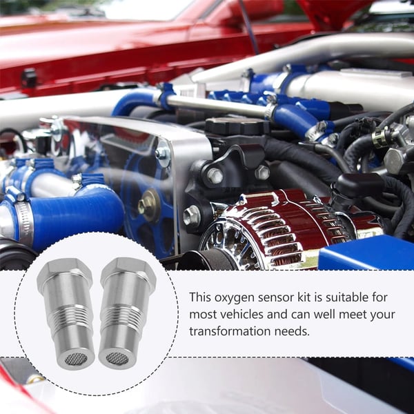 2_8c6a423d-e1ff-445a-a1c4-c5b7444b1666