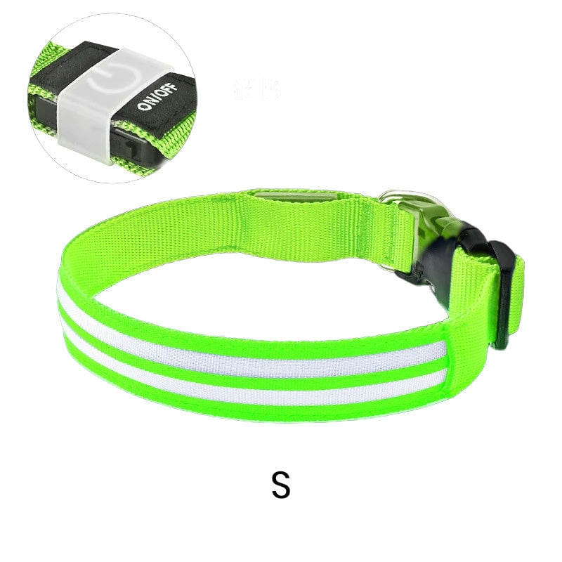 Dual Fiber Nighttime Luminous Dog Collar